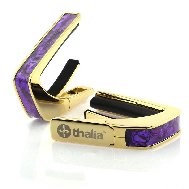 Thalia Capo Exotic Shell Series 24K Gold Purple Paua [新仕様