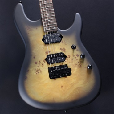 Sterling by MUSICMAN RICHARDSON6 (Natural Poplar Burl Burst)【キズ
