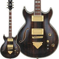 エレキギター セミアコ Ibanez 商品一覧｜イケベ楽器店オンラインストア