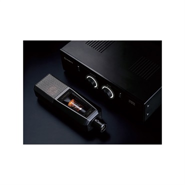 LEWITT MTP 350 CM (ルーイット)(コンデンサーマイク) ｜イケベ楽器店