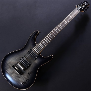 FUJIGEN EXPERT ELAN EEL-FM (Transparent Black Sunburst)#C241136