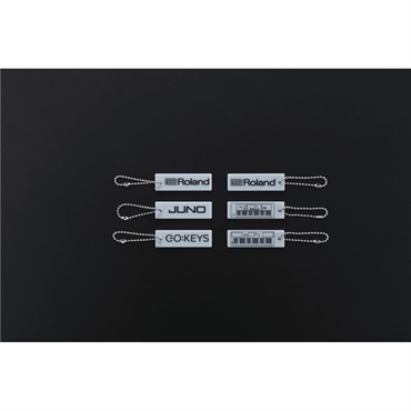 Roland CB-V61(versatile 61-key Keyboard Bag)(ローランド)(61鍵用