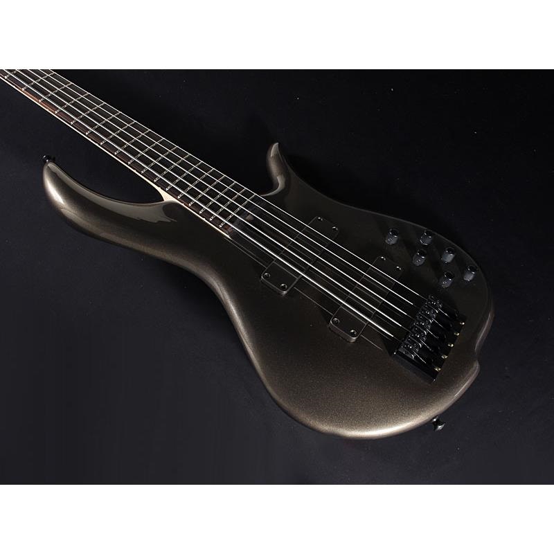 F-bass BN5-ZE Macassar Ebony Fingerboard， Hipshot A Style Bridge