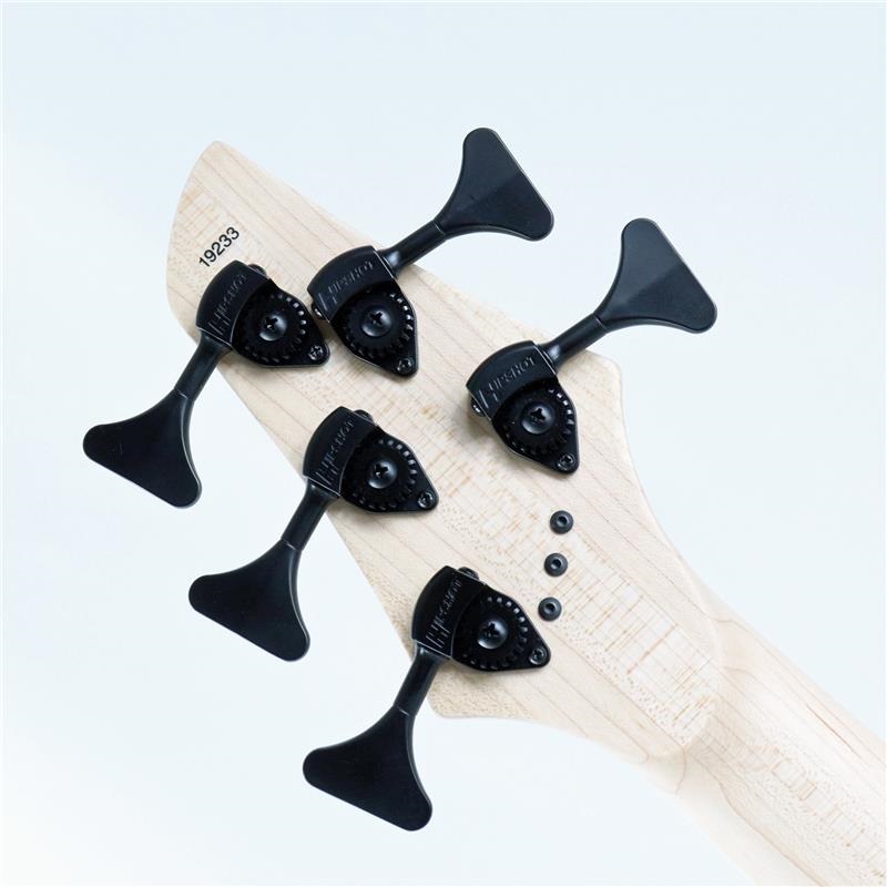 DINGWALL NG-3 5st Adam Nolly Getgood Signature Model (Blueberry