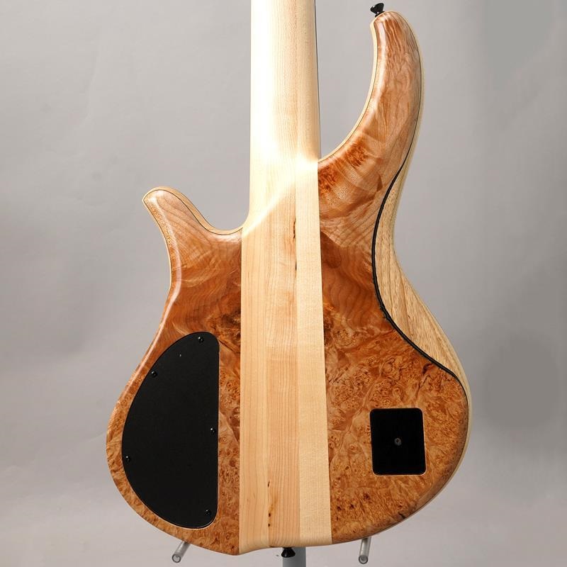 Phoenix PH9-5 Burl Maple ｜イケベ楽器店オンラインストア