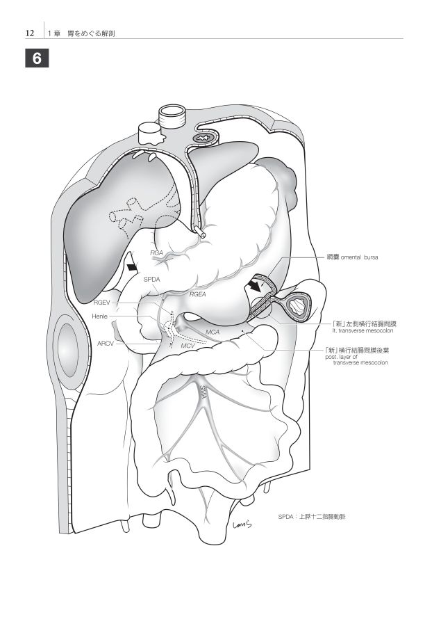 M*M様 廃盤 イラストレイテッド外科手術 第3版コンパクト版 絶版