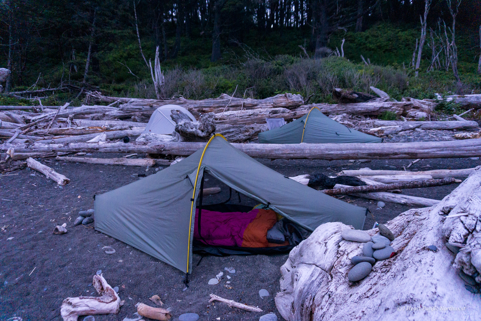 I Heart Pacific Northwest