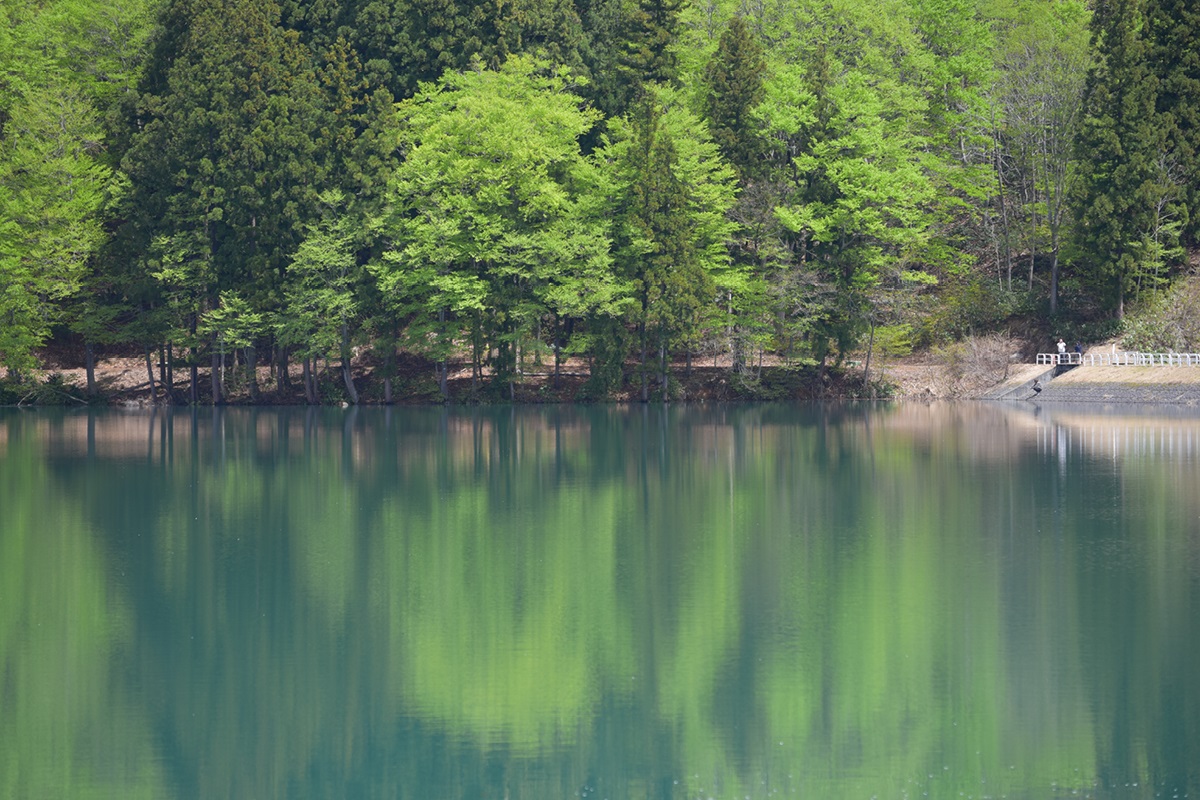 鏡ヶ池 | 魚沼市観光協会