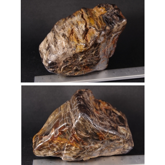 珪化木（木化石）原石磨き 735g 天然石販売 名取貴石 天然石・国産