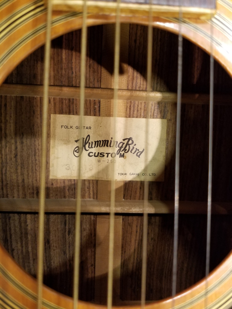 ひとくちにハミングバードと言いましても猫の前に出ていたのがあり