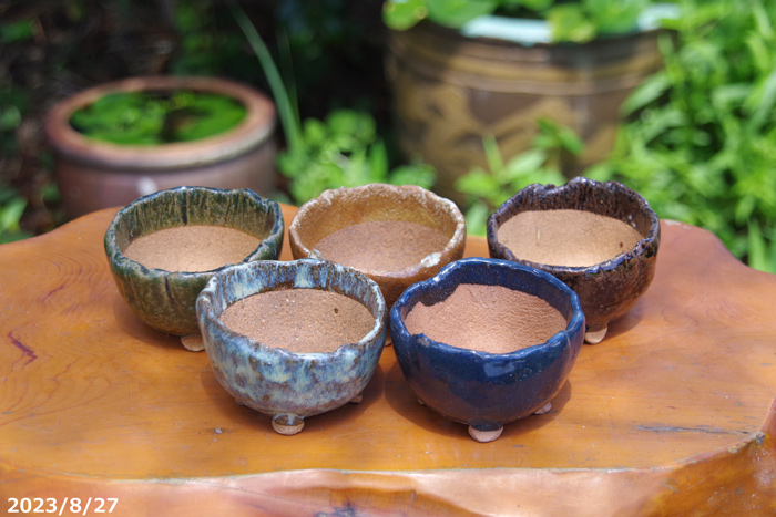 山野草の石田精華園 / アウトレット 萬古焼 植木鉢 竹鳳作 手びねり