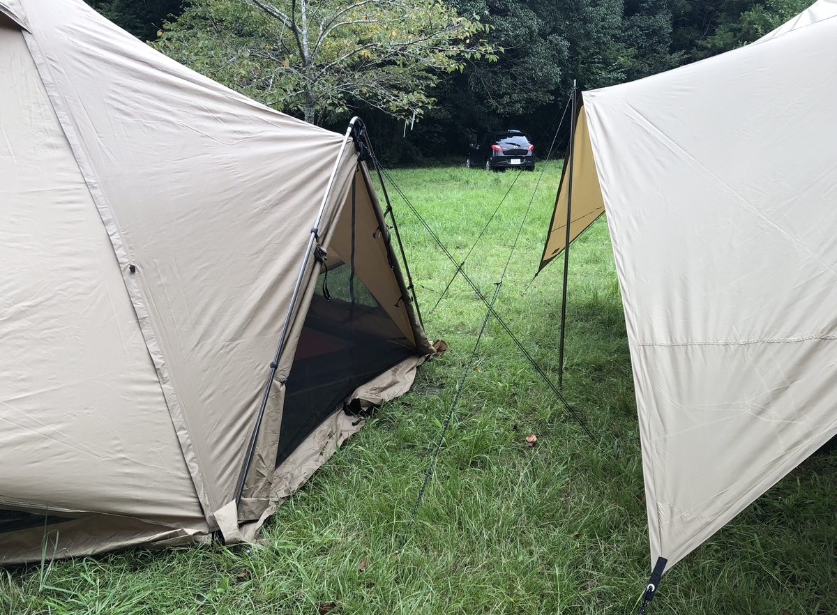 ゼクーMをフタマタノキワミで二股化！3つのメリットとデメリット