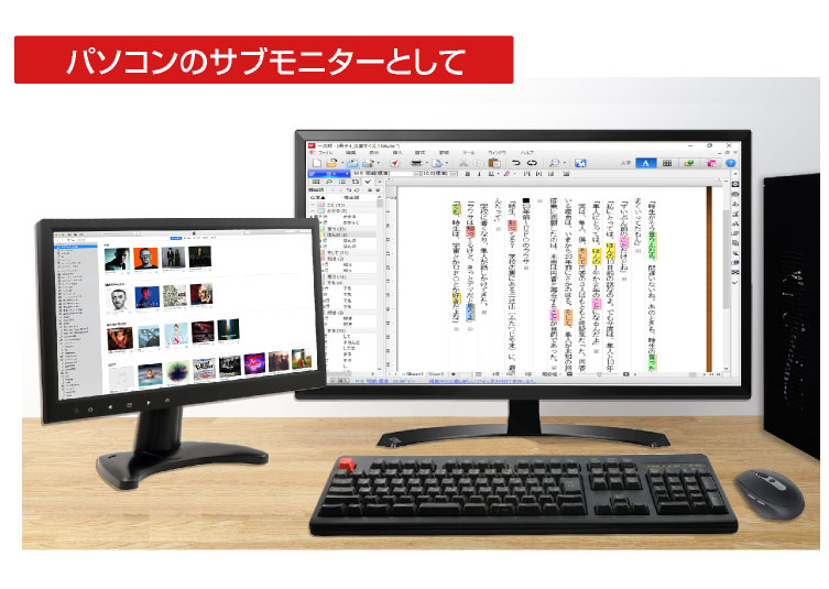 ITPROTECH 13.3型フルHD IPS液晶モニタ プレミアムモデル LCD13HVR-IPS