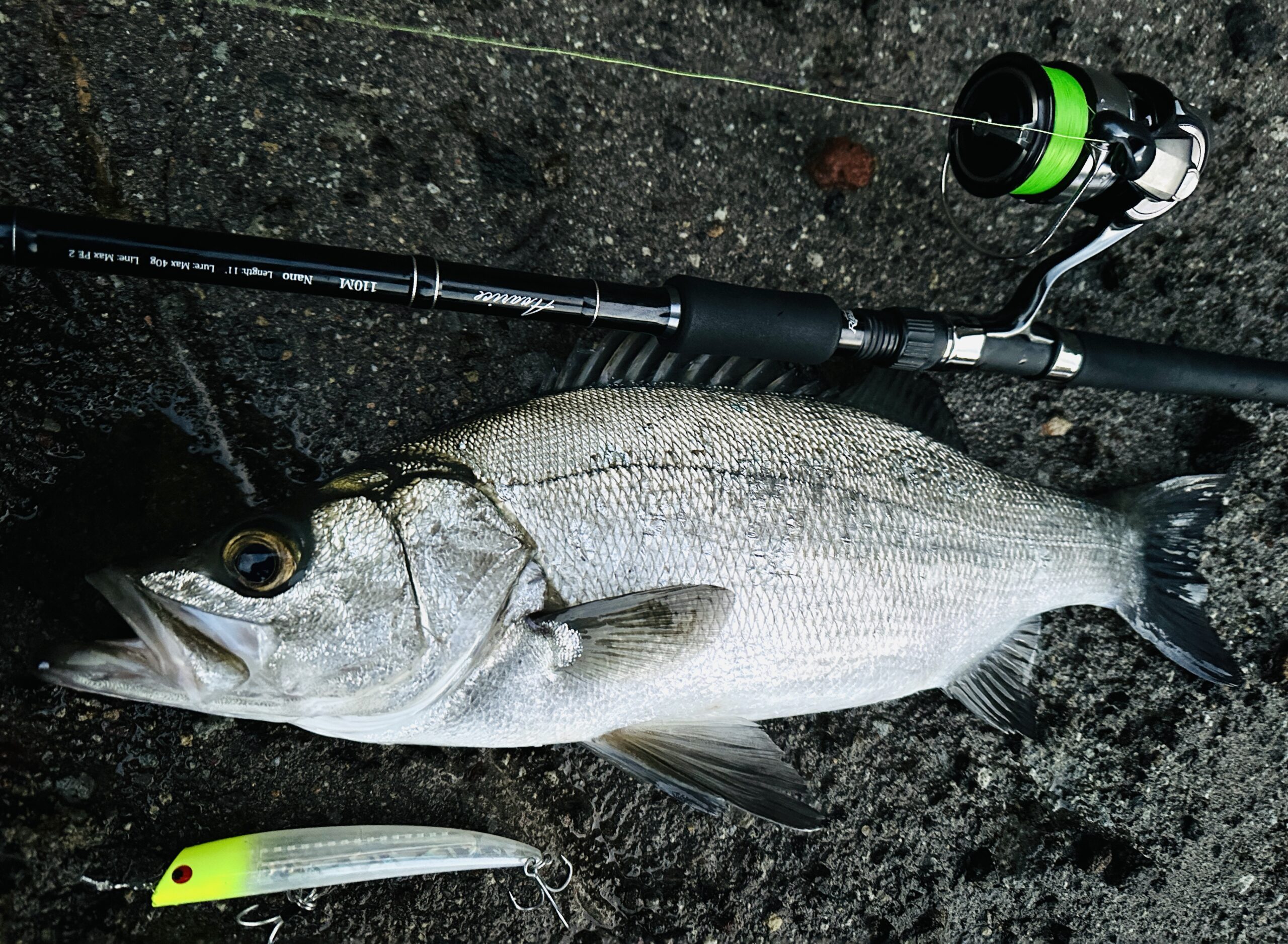 実釣インプレ】24セルテート LT4000-CXH | 磯釣りらいふろぐ