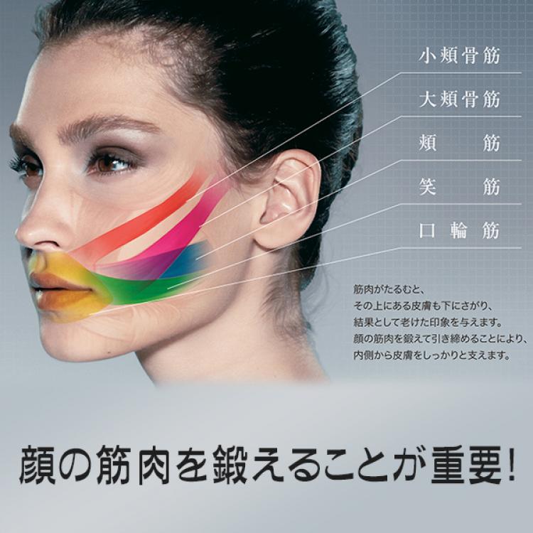 フェイシャルフィットネス PAO(パオ) | BSNショッピング