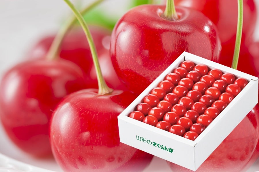 JAてんどうフーズ/さくらんぼ|【JAタウン】産地直送 通販 お取り寄せ