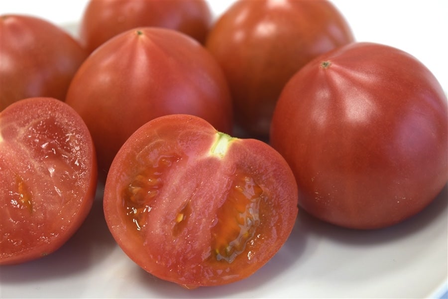 JAうつのみや トマト (AM24玉/4kg箱): とちぎ新鮮倉庫|【JAタウン