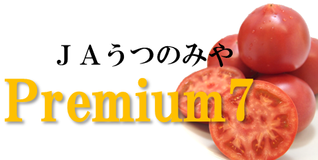 Premium7 トマト (約1.2kg×1箱) JAうつのみや産: とちぎ新鮮倉庫