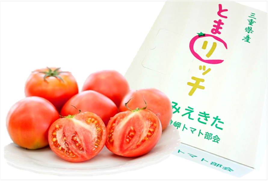 冷やしトマト様、専用 TOKYO MARUI トイガン マガジン 2個セット