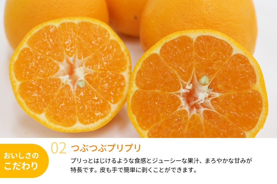 はるみ 約4kg（18～24玉入り） (紀南): ココ・カラ。和歌山マルシェ