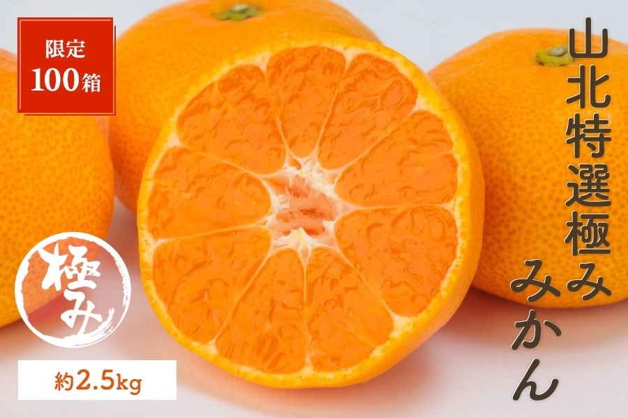 限定100箱】山北特選極みみかん 約2.5kg 12/2～12/24の間に発送: とさ