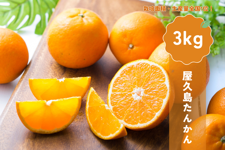 JA種子屋久 屋久島たんかん3kg: JA鹿児島県経済連 鹿児島の味