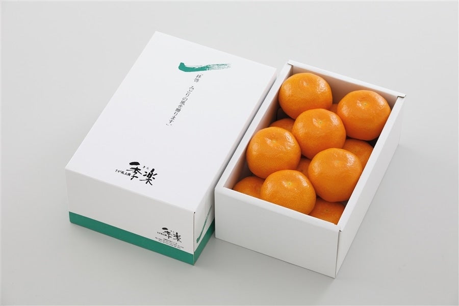 佐賀県産ハウスみかん 約1kg: さが風土館 季楽|【JAタウン】産地