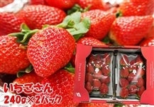 佐賀県産 いちごさん 約240g×2パック: さが風土館 季楽|【JAタウン