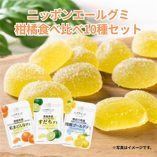 371 グミ柑橘食べ比べセット（10袋）（ポスト投函）: ニッポンエール