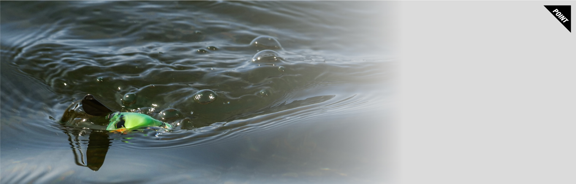 MICRO POMPADOUR/マイクロポンパドール - FRESH WATER バス釣り