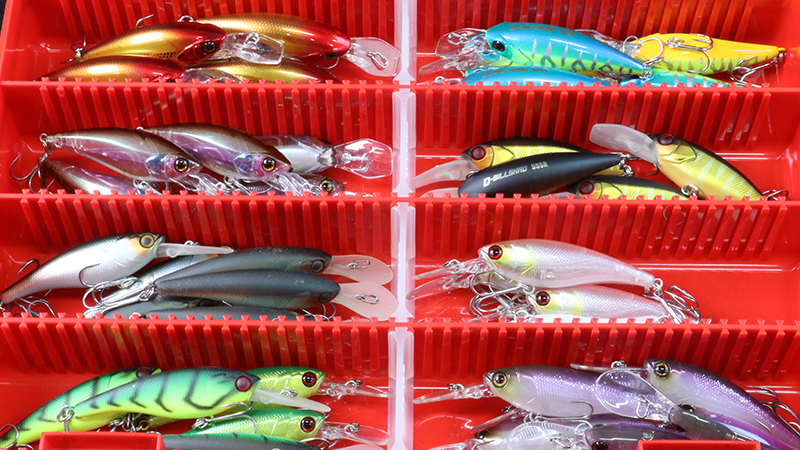 西村流、ハードベイトのカラーセレクトとは? - FRESH WATER バス釣り