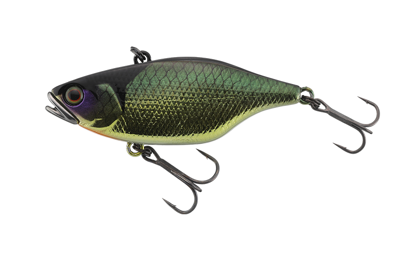 TN20th 20周年記念企画￼ - FRESH WATER バス釣り ｜JACKALL