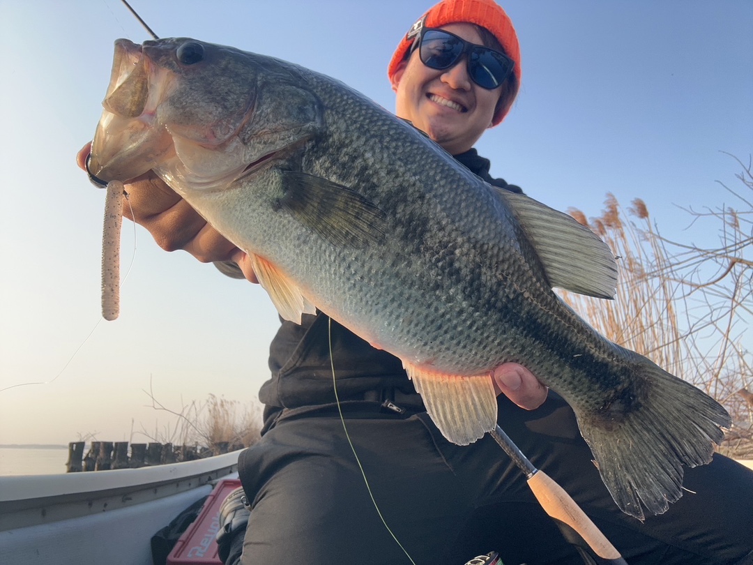 ライトパワーフィネス