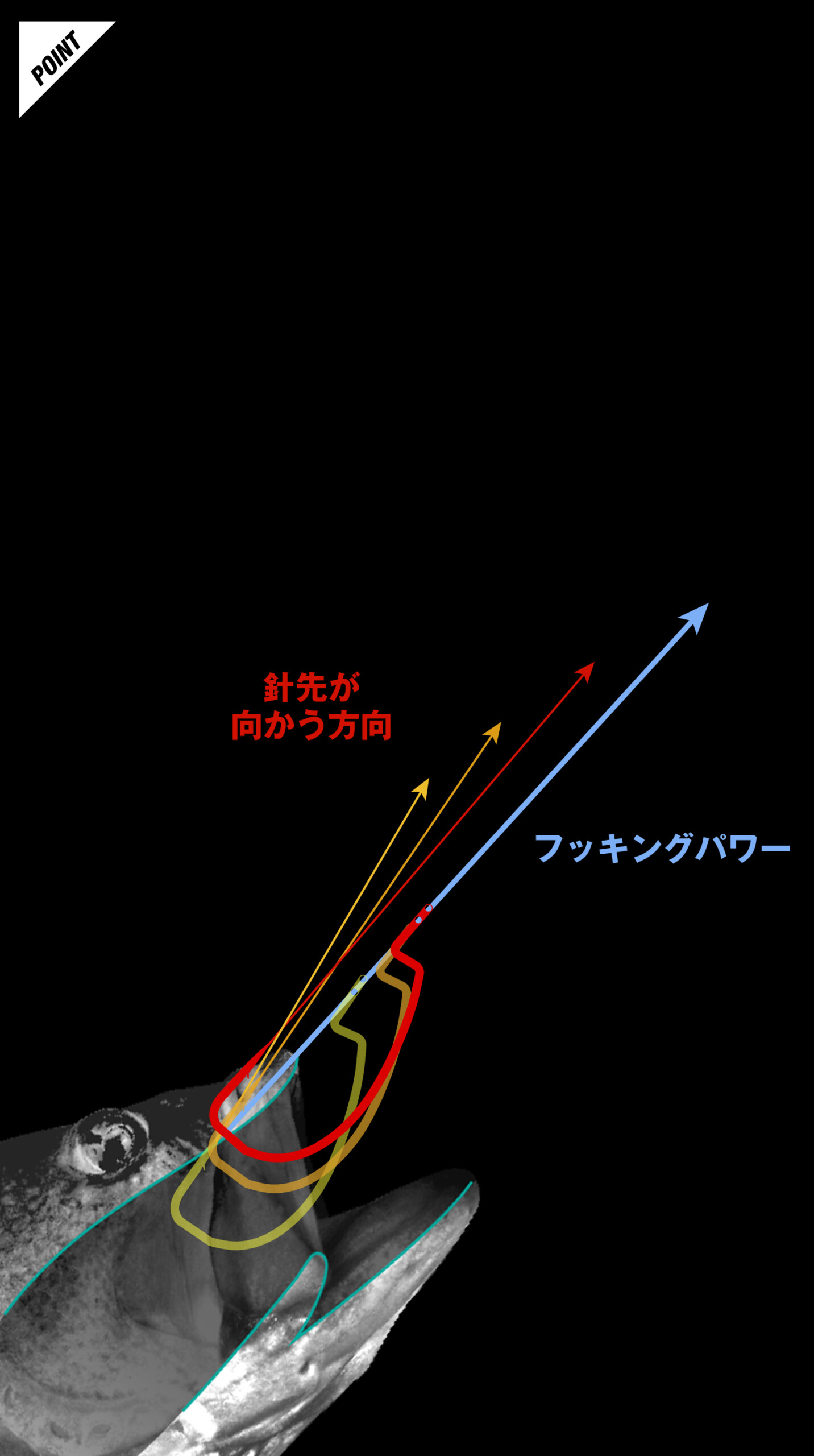 SCYTHE Finesse/サイスフィネス - FRESH WATER バス釣り ｜JACKALL