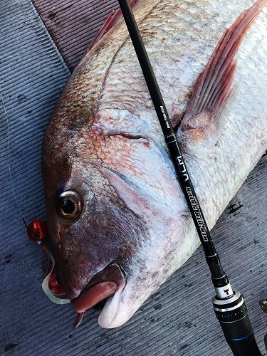 NEW ビンビンスティックVCMシリーズ - SALT WATER 海釣り｜JACKALL