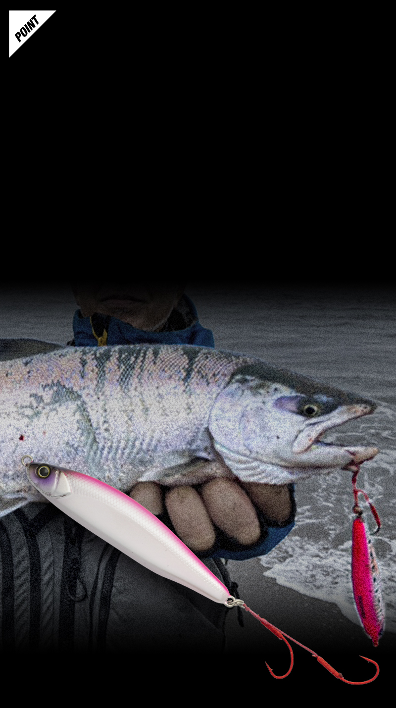 BIGBACKER FALLTRICK SAKURAMASU Special - SALT WATER 海釣り