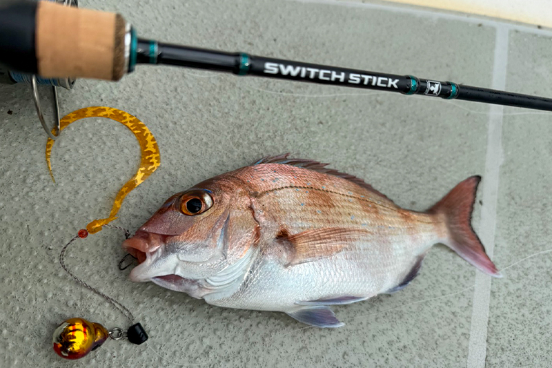 スイッチスティック使い分け：人気ターゲット真鯛を狙って/山戸田恵一