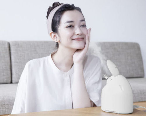 Salonia Pure Bright Steamer | Japan Trend Shop