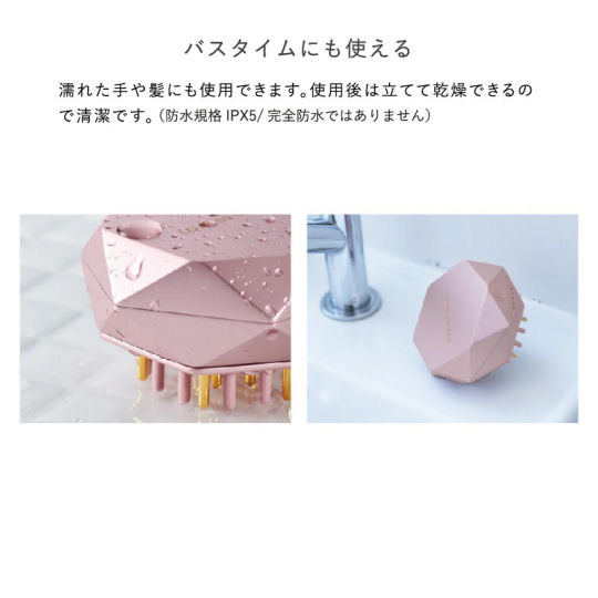 Lourdes EMS Lift Brush | Japan Trend Shop