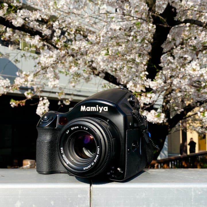 Camera Geekery: Mamiya AFD - Japan Camera Hunter