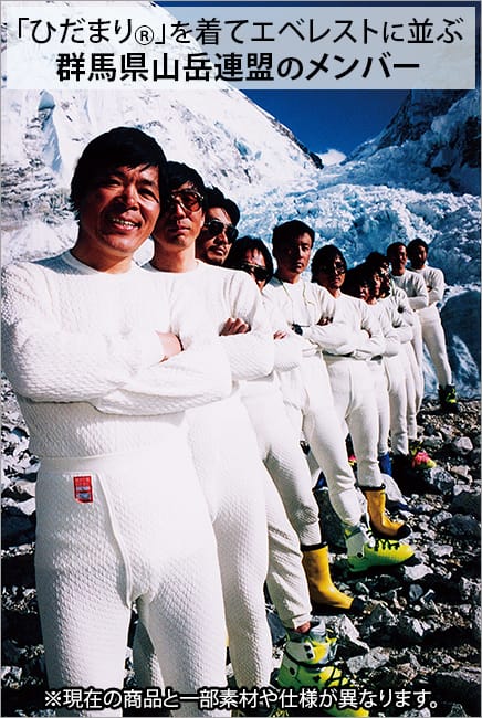 健繊 衣類 ひだまりプレミアム2020 婦人長袖インナー Sサイズ スミ