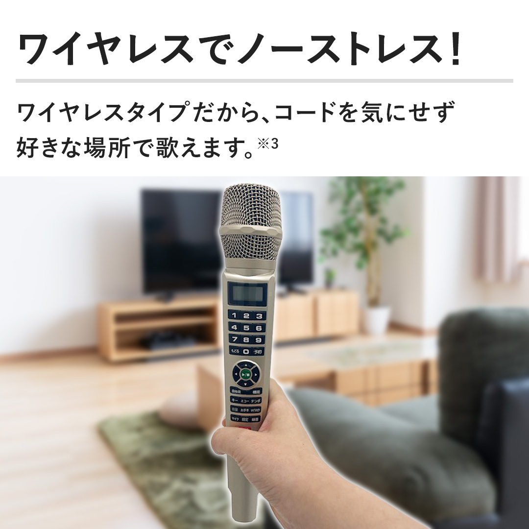 カラオケ パーソナルカラオケ オン・ステージ PK-WT121 通販