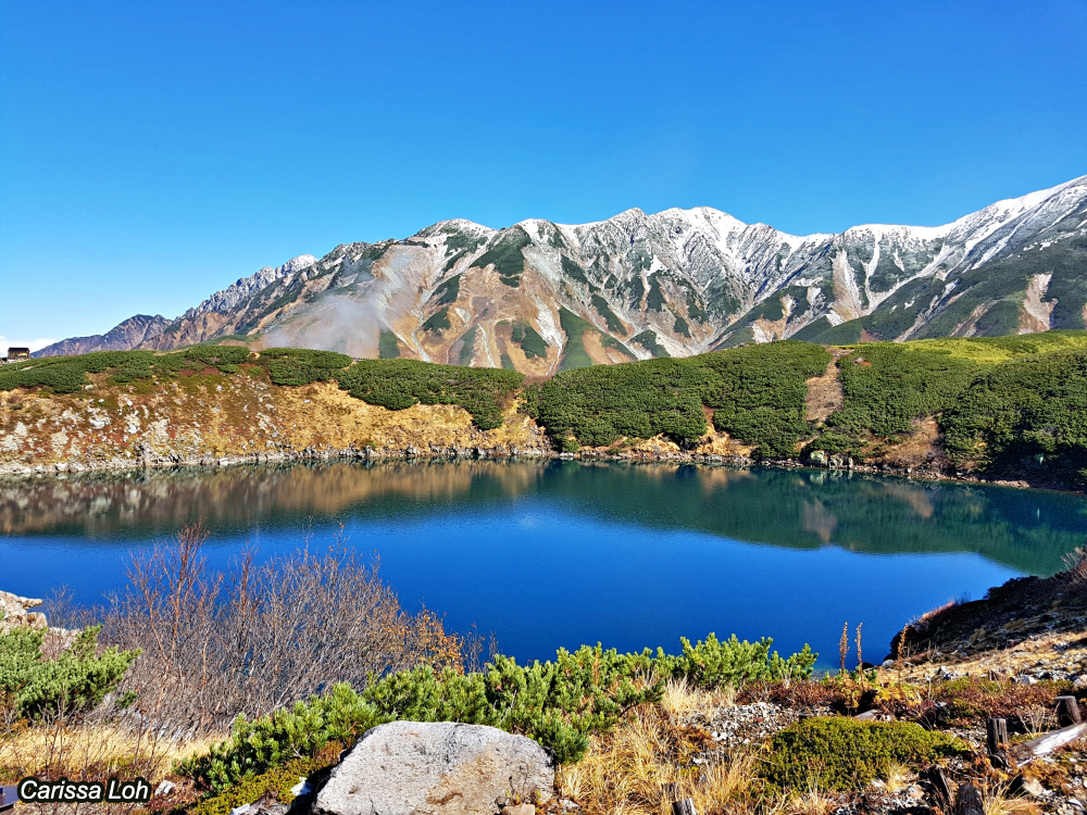 4 Seasons at the Tateyama Kurobe Alpine Route – Japan Rail Club