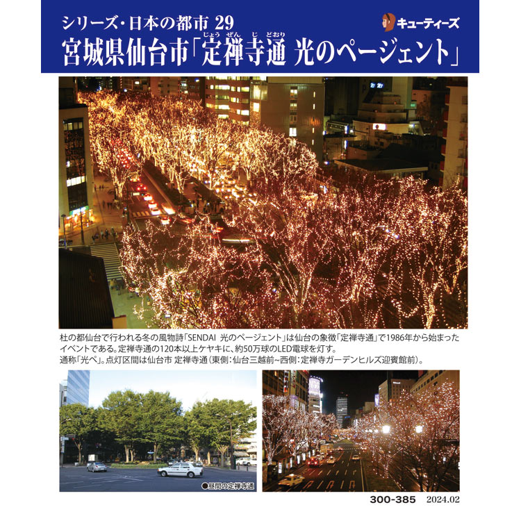 CUT-300-385 風景 宮城県仙台市「定禅寺通り 光のページェント」 300