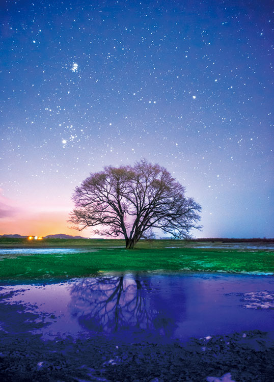 ボン ジグソーパズル 渡辺浮美生 ロマンティックブルー 1000P ボン