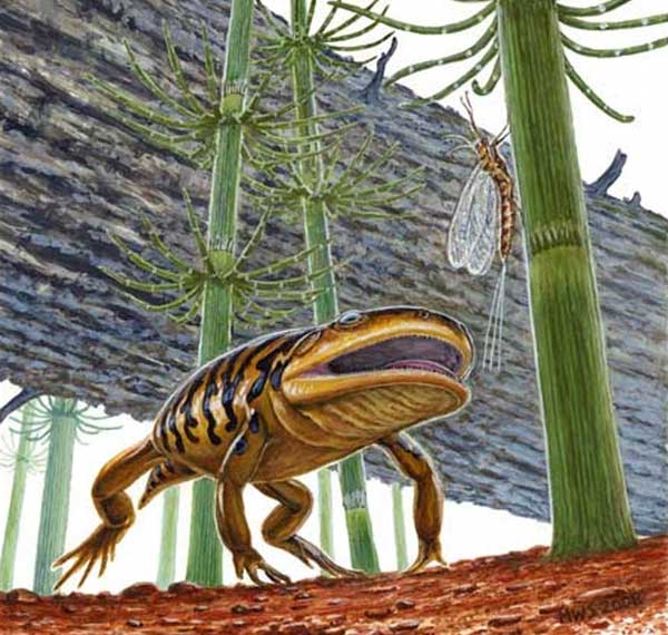 米テキサス州で見つかったペルム紀（約3億～約2…：古代生物想像図鑑