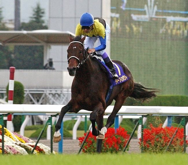 画像・写真：飛ぶように走った三冠馬 ディープインパクト【スポーツ