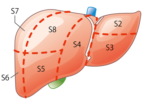 日本消化器外科学会