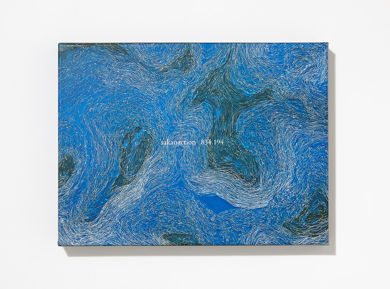 サカナクション | 834.194 （完全生産限定盤B：DVD付属） | ビクター