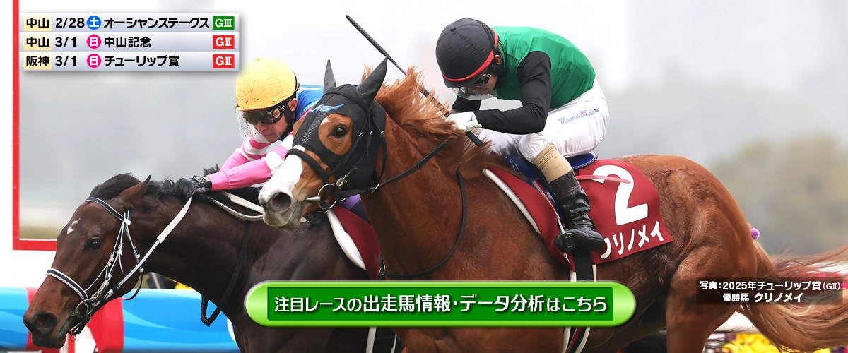 JRA日本中央競馬会